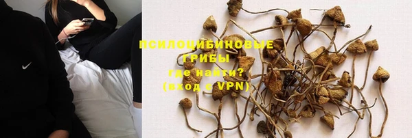 каннабис Осташков