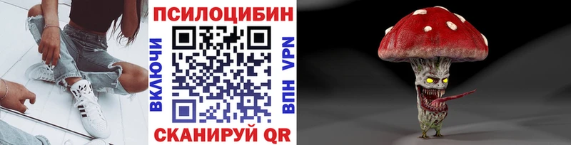 KRAKEN зеркало  Жуковка  Галлюциногенные грибы ЛСД 
